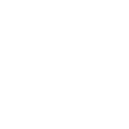 Etsy SEO Service
