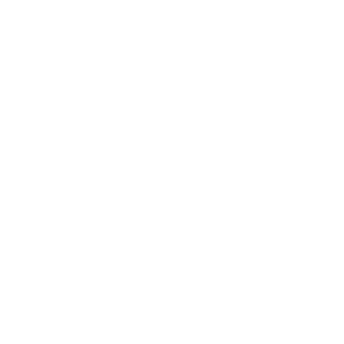 Guest Posting Service