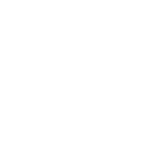 Blog & SEO Content