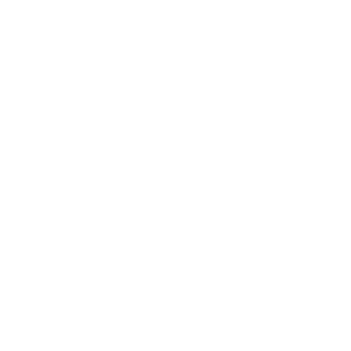 Ecommerce SEO Audit