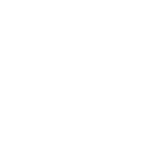 Step 4: Live Link Verification