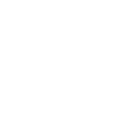 Paid Social Campaign Support