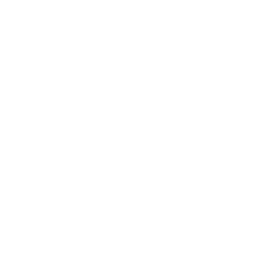 Shopify SEO Services