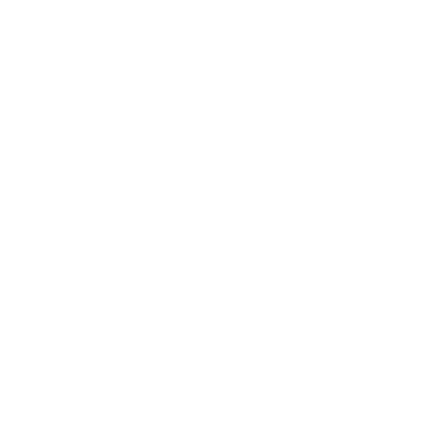 Guest Posting Service